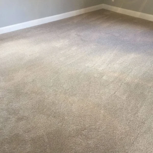 Best Quality Carpets