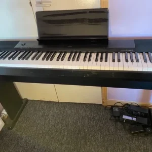 Casio CDP-120 88-Key Digital Piano