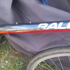 Raleigh Urban Geometry Altare Bike - Image 7