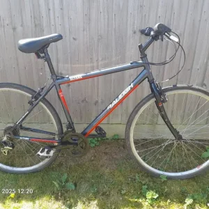 Raleigh Urban Geometry Altare Bike