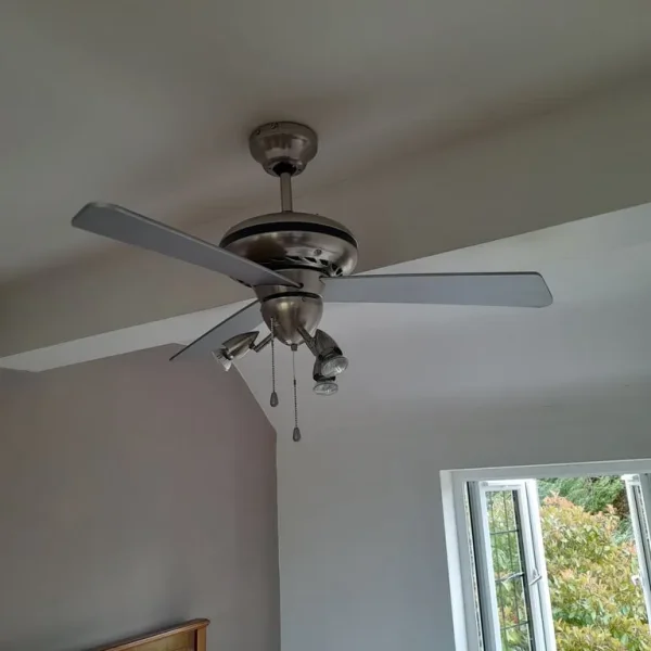 Ceiling Fan with Lights
