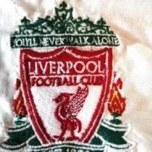 PES MACHINE EMBROIDERY AND SVG CRICUT FILES - Image 3