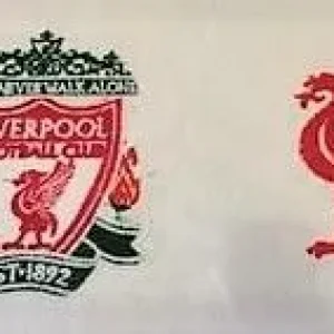 PES MACHINE EMBROIDERY AND SVG CRICUT FILES - Image 5