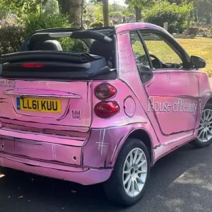 2011 Smart Fortwo Passion MHD 2DR Softouch Auto Convertible - Image 2