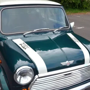 1992 Rover Mini 1.3 2dr Saloon Petrol Manual - Image 2