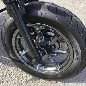 2015 Harley-Davidson Sportster XL1200X 48 Battle of the Kings Custom - Image 2