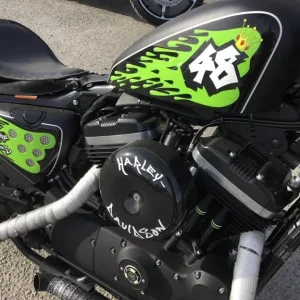2015 Harley-Davidson Sportster XL1200X 48 Battle of the Kings Custom - Image 5