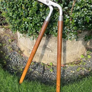 Lawn edge trimmer - Image 2