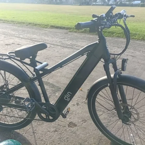 GIN X 250W electric bike