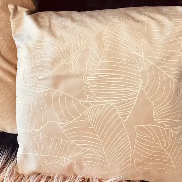 Pair of cushions