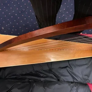 Salvi Aida 34-string lever harp - Image 3