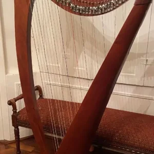 Salvi Aida 34-string lever harp