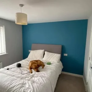 🎨Painting and Decorating Services - Image 2