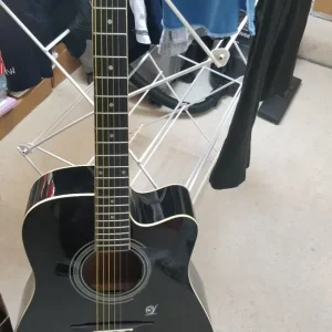 Acoustic guitar