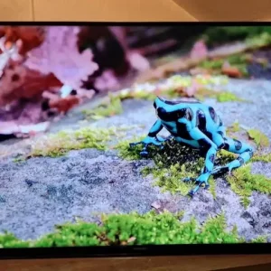 Samsung 40 Inch Smart TV No Stand - Image 5