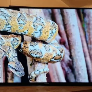 Samsung 40 Inch Smart TV No Stand - Image 6