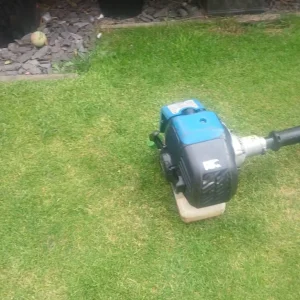 Ferrex Strimmer - Image 5