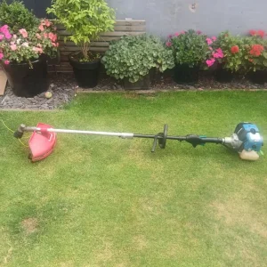 Ferrex Strimmer