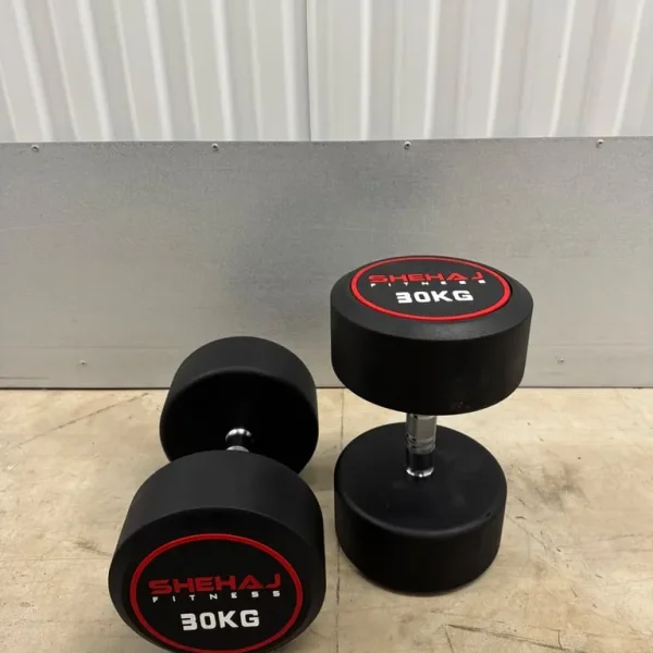 2x30kg Round Dumbbells Brand New