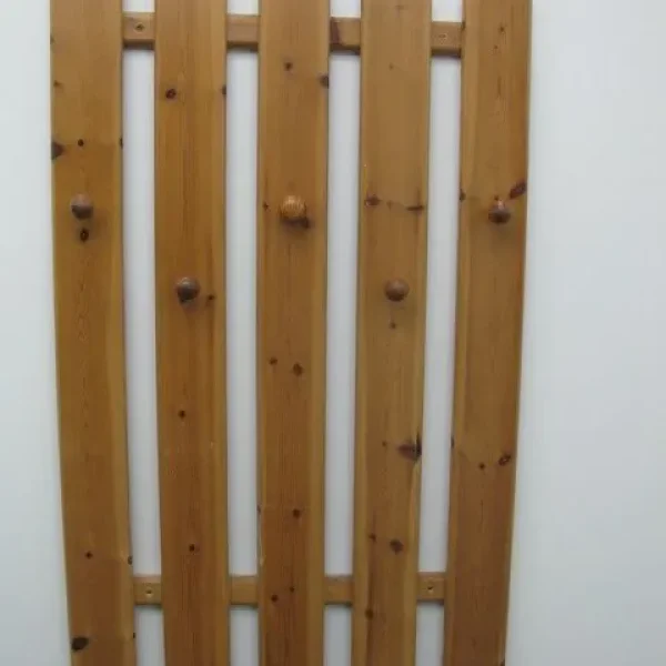 Wall Mounted Coat Hanger