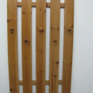 Wall Mounted Coat Hanger