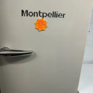 Retro Montpellier Tall Fridge with Freezer