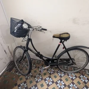 Pashley bike