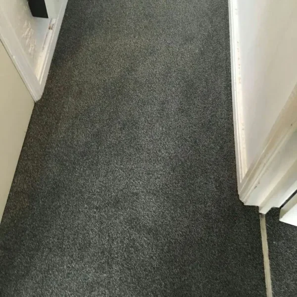 Brand new carpet flooring