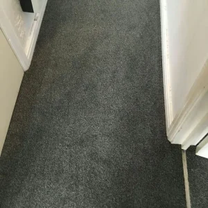 Brand new carpet flooring