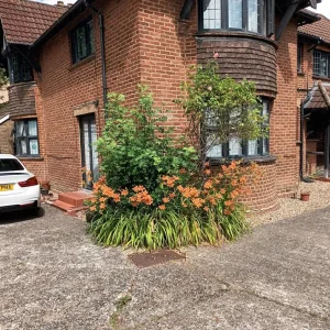 Large single room in a detached house - Image 5