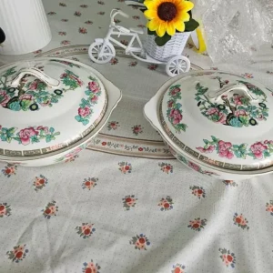 2 Indian Tree Tureen dishes Maddock - Image 2