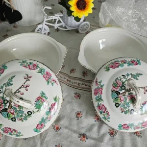 2 Indian Tree Tureen dishes Maddock - Image 3
