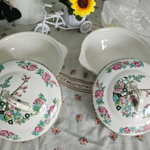 2 Indian Tree Tureen dishes Maddock - Image 5