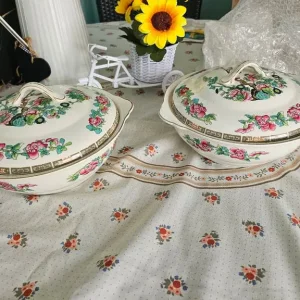 2 Indian Tree Tureen dishes Maddock
