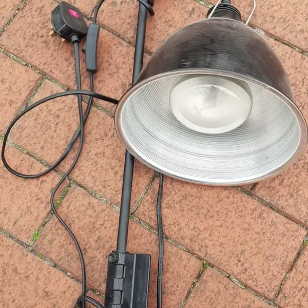 Pre-owned Dome Lamp with Stand