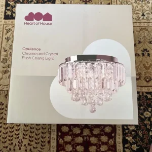 Ceiling light