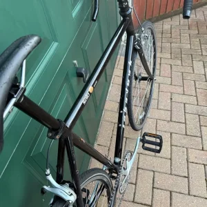 Ridgeback Solo World - Image 3