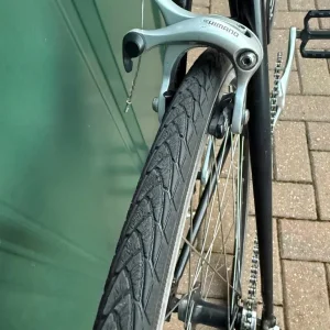 Ridgeback Solo World - Image 5