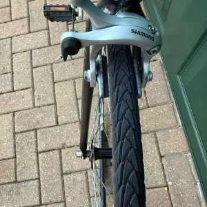 Ridgeback Solo World - Image 6