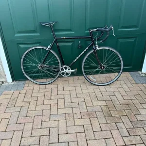 Ridgeback Solo World