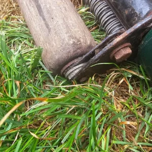 Atco Balmoral 20s lawn mower - Image 7