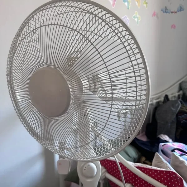Fan