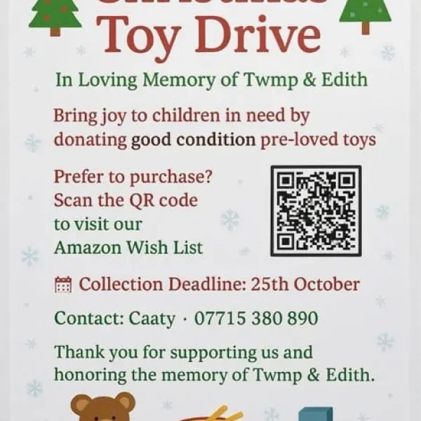 Used toys for a Christmas toy drive