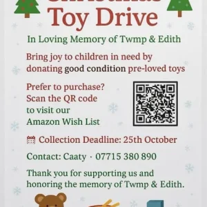 Used toys for a Christmas toy drive