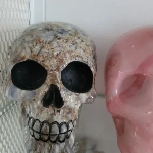 Skulls