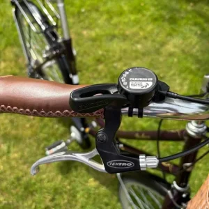 Dawes Duchess Ladies Heritage Bicycle - Image 3