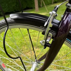 Dawes Duchess Ladies Heritage Bicycle - Image 5