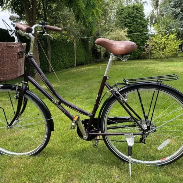 Dawes Duchess Ladies Heritage Bicycle