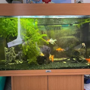 Jewel Rio 125 fish tank with stand - Image 2