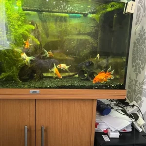 Jewel Rio 125 fish tank with stand - Image 5